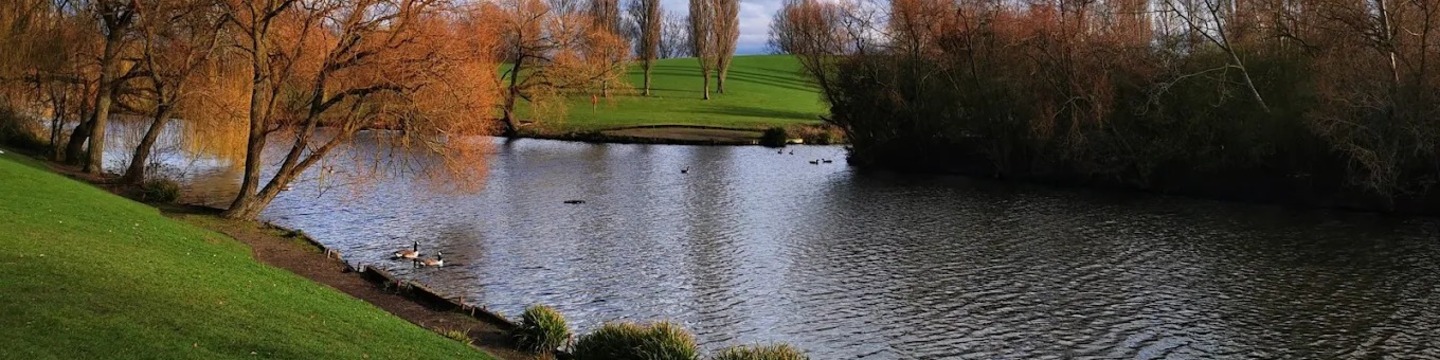 Basildon area