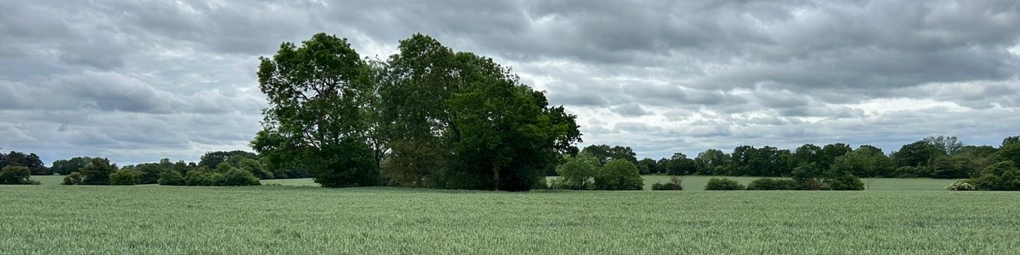 Syleham